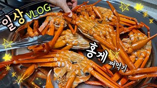 [주부Vlog⭐️] 미역줄기볶음 해먹고 영화관 가고 모던하우스 구경하는 주부일상 | 브런치 즐기기🧇🥖 | 집에서 홍게찜, 홍게라면 해먹기🦀