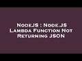 NodeJS : Node.JS Lambda Function Not Returning JSON