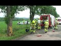 mit auto frontal gegen einen baum gekracht