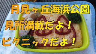 【ピクニック】　月見ヶ丘海浜公園へピクニック　デイキャンプ場下見に行ったのに他に見所ありすぎた！　【公園散歩】