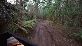 MCC 2025 Exeter Trial - Tipley Hill (Beta Alp 200)