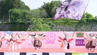 [4K] 播磨乃國☆よさこい衆 嵐華龍神　篠山よさこいまつり 2023