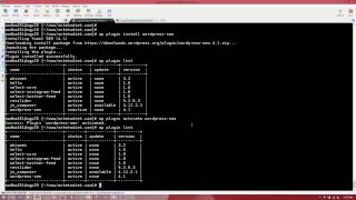 How use WP CLI to manage Wordpress plugins