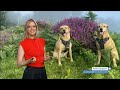 Weather images of the day and high pressure is back (UK) - BBC & ITV weather - 23rd August 2021