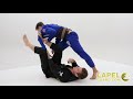 THIS *NEW* 2019 LAPEL GUARD CONCEPT IS SO STRONG! EXCLUSIVE PREVIEW - LAPELGUARD.COM