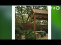 Central Texas Gardener|Feb. 12, 2011