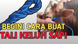 CARA MEMBUAT TALI SIMPUL KELUH SAPI