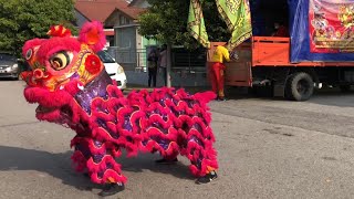 Cari Lauk Di Taman Krubong Jaya,Nasib Baik Jumpa Team Main Singa,Gong Xi Fa Cai.