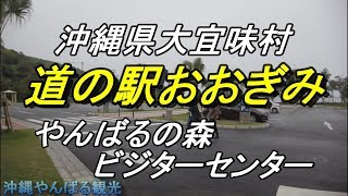 【沖縄の道の駅】【沖縄・北部】「道の駅おおぎみ」と「やんばるの森ビジターセンター」大宜味村に「道の駅おおぎみ」が2つある？2020年2月オープンの道の駅・海が目の前・沖縄観光・やんばる観光