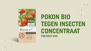 Pokon Bio Tegen Insecten Polysect GYO Concentraat