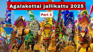 Agalakotta jallikattu 2025 💯🔥 | Part 3 ✨️ | அகாலகோட்ட jallikattu 🦬👑🔥 | #paapu_vj