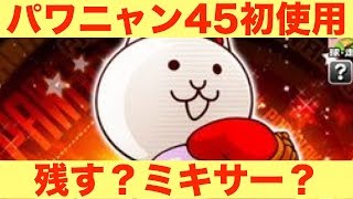 [パワプロアプリサクセスNO.541]せっかく４５にしたので一応パワニャン４５を使ってみたけど・・・