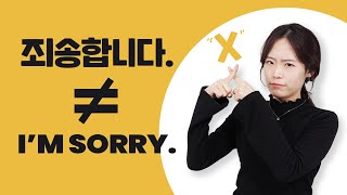 “Sorry” is NOT always 죄송합니다 | Basic Korean