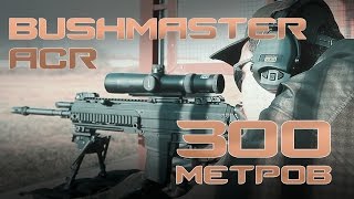 Стрельба из Bushmaster ACR на 300 метров