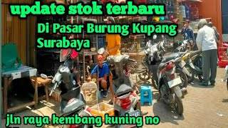 Full Burung Masteran