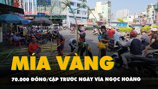 Mía vàng 70.000 đồng/cặp đắt hàng trước ngày vía Ngọc Hoàng