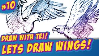 Learning to Draw Wings (Drawing Birds) - Draw with Tei #10