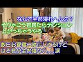 キッカケは何？一段と仲良くなった3歳差兄弟！そして少し悩みが。。。6歳児男女双子＆3歳児末っ子の何気ない日常407