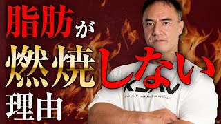 【ダイエット】知らないとやばい！余計な脂肪を燃焼させるためのトレーニングと食事のポイント【筋トレ】