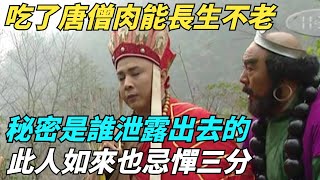 吃了唐僧肉能長生不老，秘密是誰泄露出去的？此人如來也忌憚三分【縱觀千秋】#西遊記#孫悟空#如來佛祖#鎮元子#歷史#歷史故事#歷史人物#歷史風雲天下