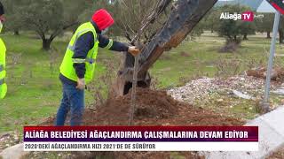 Aliağa Belediyesi’nden Bozköy’e 75 Adet Süs Armudu