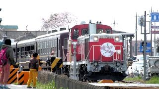 わたらせ渓谷鐵道　トロッコ列車「花桃号」2015　9717列車　2014.04.12