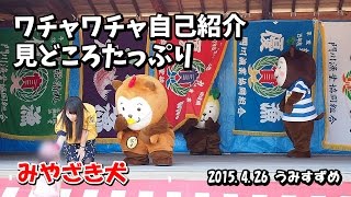 【みやざき犬】ワチャワチャ自己紹介。見どころタップリ！