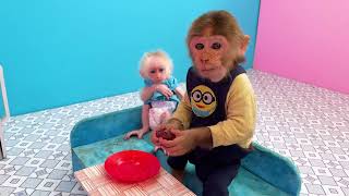 Bu Bu takes baby monkey Su and duckling to harvest fruit