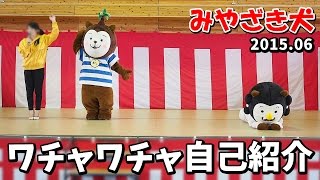 【みやざき犬】ワチャワチャ自己紹介：アカンベェむぅ＆鼻くそ攻撃かぁ (201506)