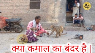 Haryanvi Bandar Bandariya Ka Khel || क्या कमाल का बंदर है | Comedy Video || Full Funny Video 😂😂😂😂