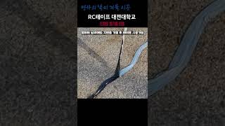 #shorts RC테이프대전대학교쇼츠-도로균열보수/겨울시공/가열융착/아스팔트균열/아스콘균열/ 아스팔트테이프/셀프균열보수/포트홀예방/예방적유지보수/아스팔트보수/경기대학교운동장적