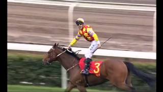 [BMW Hong Kong Derby 2014] 2014 Derby Special (Part 1)