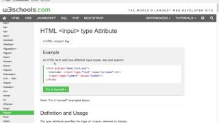 How to change the input type with javascript dom