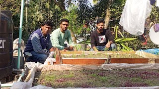 @rooftopfarmbd -এর শেকড় প্রযুক্তির (Root Technology) ব্যবহার ! (পর্ব-১)