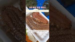 제철 맞은 제주도 살아있는 홍해삼 바로 썰어먹기 동문시장 유남수산 (제주 제주시 관덕로 64-1 제주동문시장(내) 23호) 홍해삼 3만원 가심비 8점 양심판매자 삼춘마씸