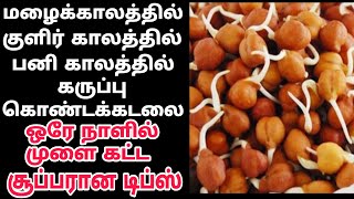 ஒரே நாளில் கருப்பு கொண்டக்கடலை முளை கட்டுவது எப்படி? /black channa/Rasi Tips