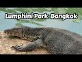 Lumphini Park In Bangkok, Thailand