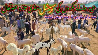 Latest video bakra eid mandi dera ghazi khan || new update mundra chatra mandi #at #nadirbalochfarm