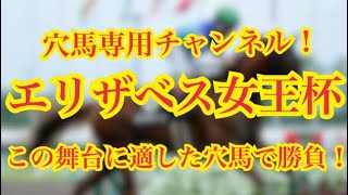 【エリザベス女王杯2020】この馬人気なさすぎる！阪神2200mに適したこの馬で勝負！