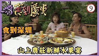 中國旅遊 | 為食到廣東 09/11 | 食到深圳（二）－山上農莊新鮮水果宴 | 李家聲、張延、陳霽平、羅霖 | 粵語 | TVB 1995