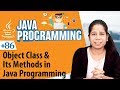 Object Class and Its Methods in Java - Inheritance in Java Programming Language - Java Programming