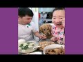 Funniest Animals  Super Dog Video  Funny Animals Video #1