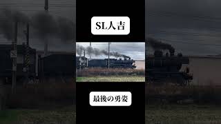 SL人吉　肥前旭〜鳥栖駅間にて#sl人吉 #鉄道 #蒸気機関車 #train #shorts