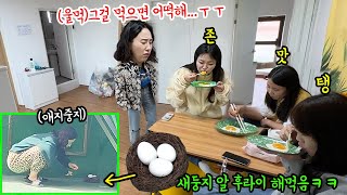 SUB) 수빈이가 소중히 아끼는 새둥지에 있는 알  눈앞에서 후라이 해먹어보기ㅋㅋㅋㅋ울먹이는 표정압권ㅋㅋㅋㅋㅋㅋ#돼지공룡