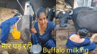 Buffalo milking by hand indian village cute👩#anjanasharma #cowbuffalomilking#viralvideo#dailyroutine