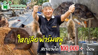 ชมสวนเกษตรกรไทย l Ep24 ตอน ใหญ่ลือฟาร์มหนูนา อาชีพเสริมสร้างรายได้หลัก 100,000 บาทต่อเดือน