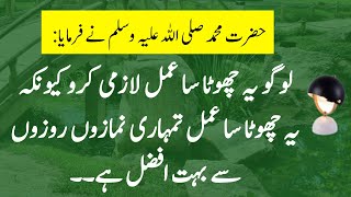 Hazrat Muhammad SAWW Farman | Islamic Quotes in Urdu | Aqwal E Zareen | Golden Words in Urdu