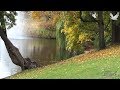 ♫ Музыка для души...  Осенний блюз... - Вадим Гурьев. Vadim Guryev - Autumn blues.