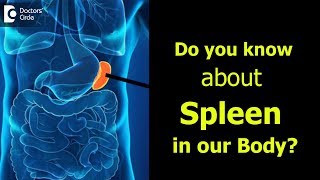 What is Spleen? Causes, Signs, Symptoms of enlarged spleen - Dr. Ravindra B S