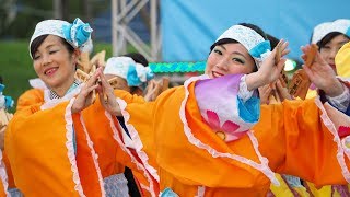 飛翠迅 ちばYOSAKOI2017